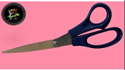 Max Foil Sheers